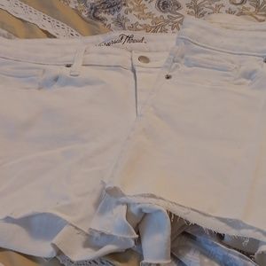 2 new pair of white size 16 shorts